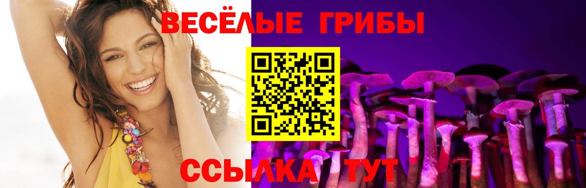 Череповец  Псилоцибиновые грибы мухоморы  Галлюциногенные грибы Cubensis  Вход с VPN 